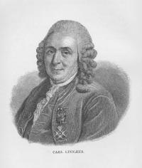 Linnaeus