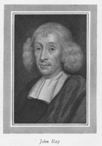 John Ray