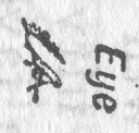 camera lucida, fig. 1, detail of eye